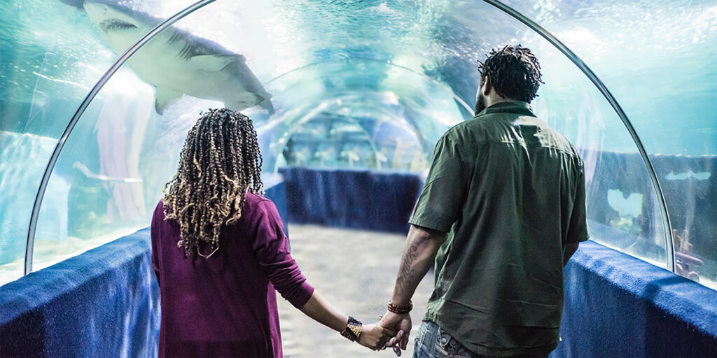 Valentine's Day Weekend at Greater Cleveland Aquarium