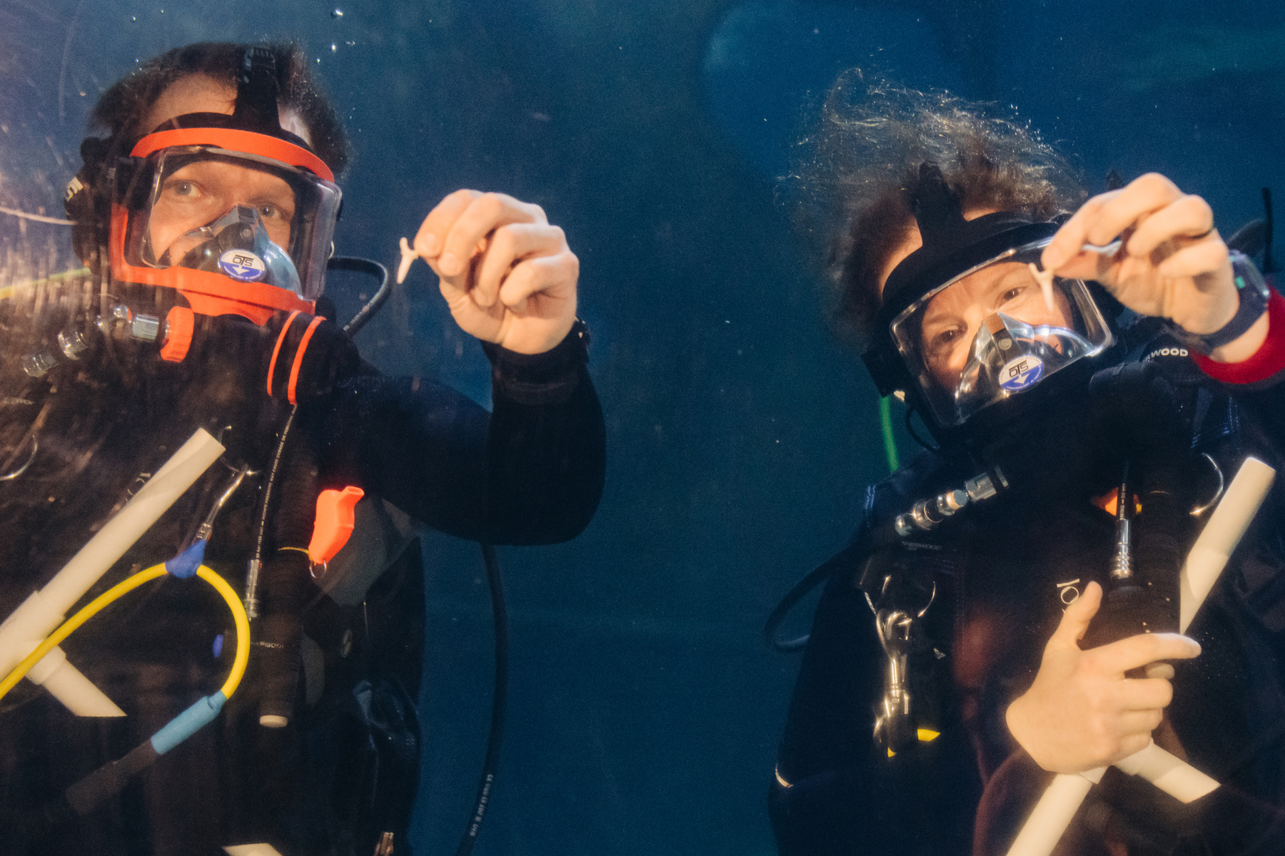 Scuba Divers at Greater Cleveland Aquarium