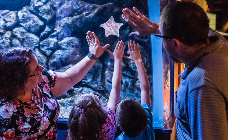 Family putting their hands around a sea star.
