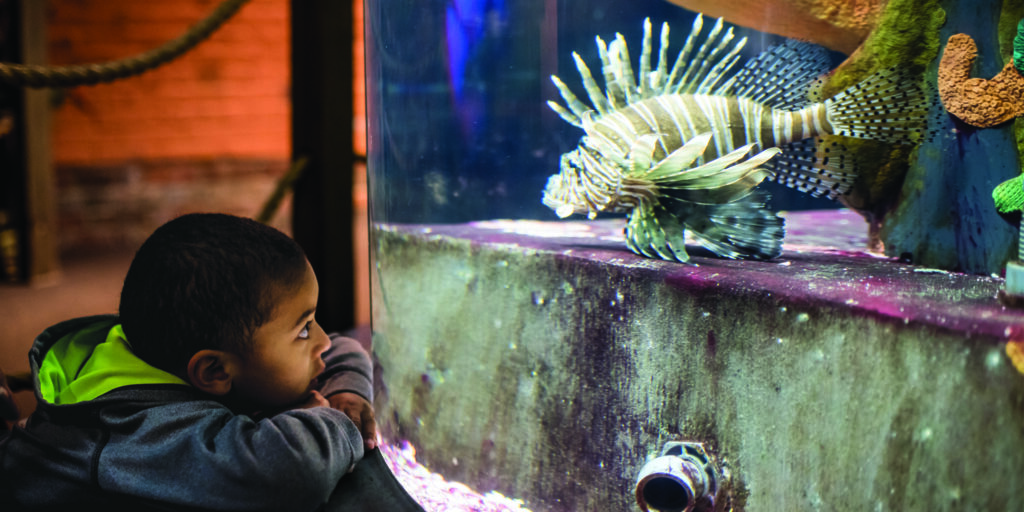 Difference-Makers Days at Greater Cleveland Aquarium