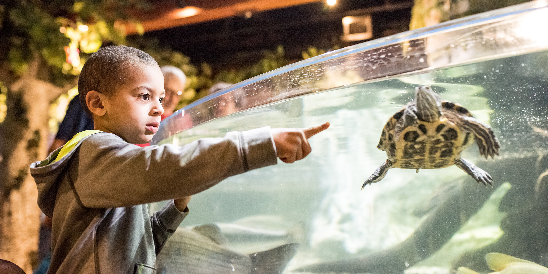 Kid pointing at turtle at Greater Cleveland Aquarium
