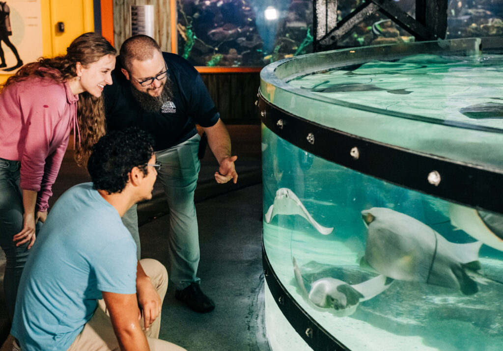 2 students looking at stingray touchpool with Greater Cleveland Aquarium