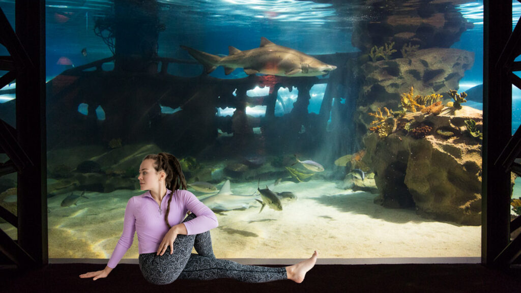 Woman doing yoga stretch by shark habitat at Greater Cleveland Aquarium