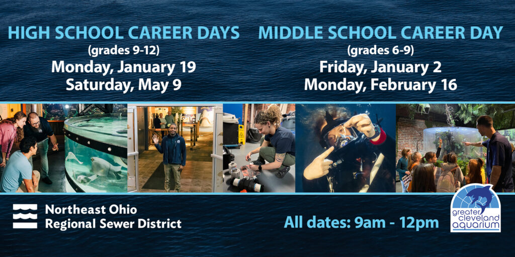 Career Days Flyer