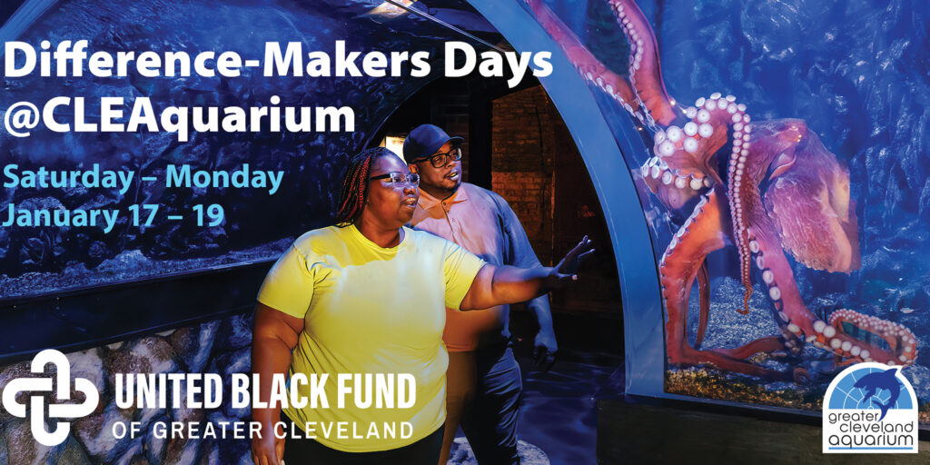 Couple looking at the giant Pacific octopus